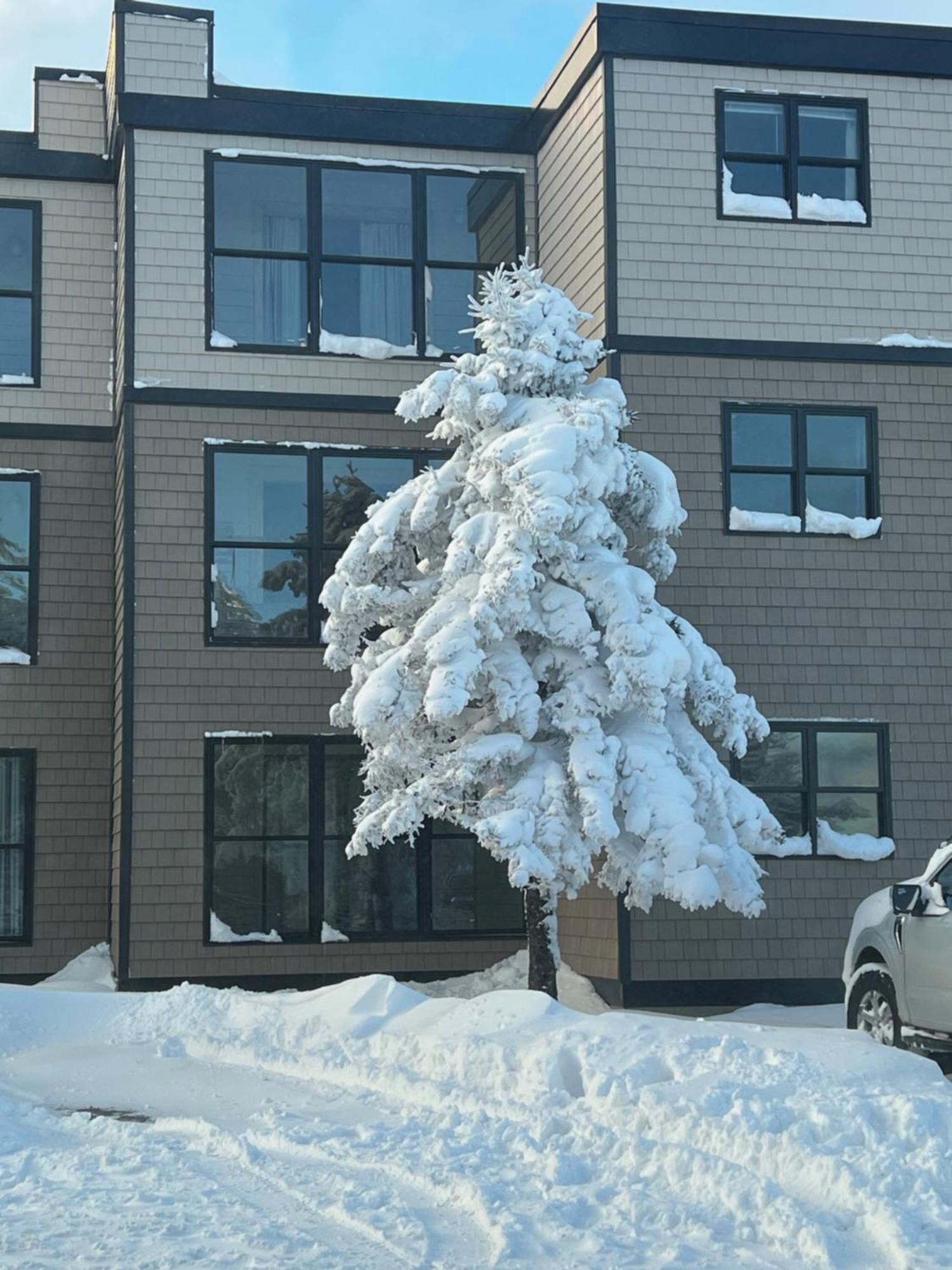 Snowcrest Condo Walking Distance To Slopes Snowshoe Eksteriør billede